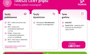 Porównanie taryf Tauron: podstawowe, dynamiczne i tanie godziny. Wybierz najlepszą opcję dla siebie.