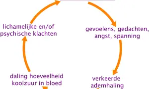 Diagram van hyperventilatie: gevoelens, gedachten, angst, spanning leiden tot verkeerde ademhaling, daling koolzuur, en klachten. Een hyperventilatie zakje blazen kan helpen.
