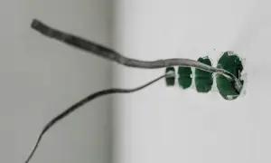 Instalacja elektryczna w ścianie, widoczne puszki pod gniazdka. Jak uziemić gniazdko bez uziemienia? To pytanie, na które odpowiedź znajdziesz w poradnikach.