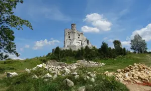 Ruiny zamku Mirów na wzgórzu, otoczone zielenią i kamieniami.