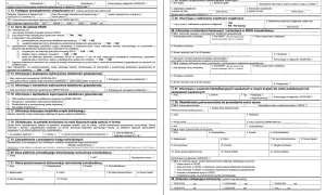 Formularz CEIDG-1, sekcja 22. dotyczy prowadzenia działalności gospodarczej w formie spółki cywilnej.