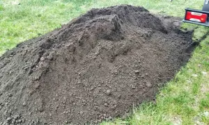 Gdzie kupić ziemię ogrodową? Sprawdź najlepsze miejsca i oferty