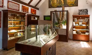 Wnętrze muzeum bursztynu z gablotami pełnymi skarbów i obrazem lasu na ścianie.