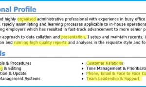 Sekcja "Professional Profile" i "Core Skills" z przykładem, jak napisać CV, podkreślająca umiejętności takie jak "Report Writing".