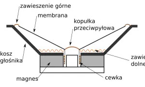 Schemat budowy kolumny głośnikowej: membrana, zawieszenie górne i dolne, kopułka przeciwpyłowa, kosz, magnes i cewka.