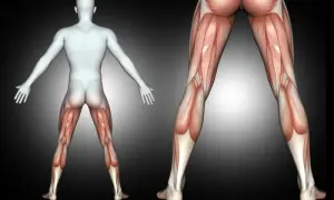 Correr: qué músculos activas y cómo fortalecerlos para rendir
