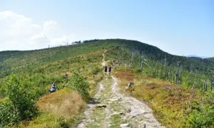 Dwaj turyści idą kamienistym szlakiem na Baranią Górę. Wokół zieleń, krzewy i uschnięte drzewa.