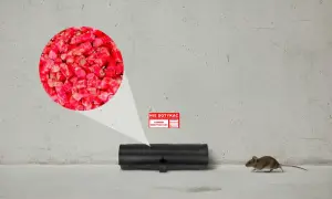 Karmnik deratyzacyjny z trutką bromadiolon. Mała mysz zbliża się do pułapki.