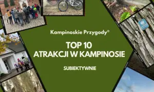 Kampinoskie Przygody: TOP 10 atrakcji w Kampinosie. Zobaczcie, co warto odkryć w Kampinoskim Parku Narodowym!