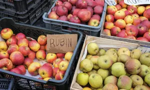 Jabłka Rubin i inne odmiany, idealne na szarlotkę, w skrzynkach na targu.