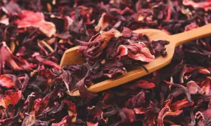 Suszone płatki hibiskusa na drewnianej łyżce. To właśnie co to jest hibiskus - piękna, czerwona roślina.