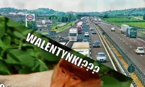 Korek na autostradzie, a na pierwszym planie nosacz z tekstem "WALENTYNKI???". Memy i kartki na Walentynki bywają różne.