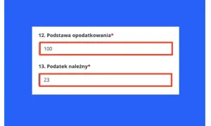 Formularz VAT-9M: podstawa opodatkowania 100, podatek należny 23.