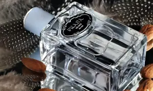 Elegancka butelka Prada Infusion d'Amande otoczona piórami i migdałami, tworząc subtelną kompozycję.