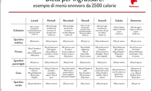 Dieta per ingrassare: esempio di menù settimanale da 2500 calorie. Un piano alimentare per aumentare di peso in modo sano, con pasti bilanciati e gustosi.