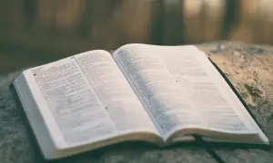 Otwarta Biblia na kamieniu, z widocznym tekstem "PSALM 33:1 Praise for God's Goodness". Idealny psalm na ślub.