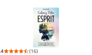 Couverture du livre "Calmez Votre Esprit" de Ryan Eland, illustrant une silhouette de femme dont les cheveux se transforment en paysage naturel, symbolisant le repos mental.