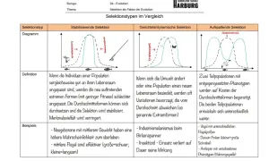 Vergleich von Selektionstypen: stabilisierend, gerichtet, aufspaltend. Die Definition von Selektion wird anhand von Diagrammen und Beispielen erklärt.
