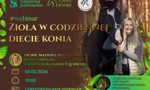 PZJ instruktor jeździectwa: Kompletny przewodnik po kursie