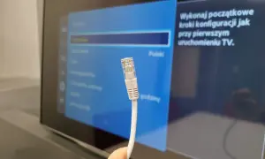 Kabel sieciowy Ethernet zbliżenie na wtyczkę RJ45 na tle ekranu telewizora z menu ustawień.