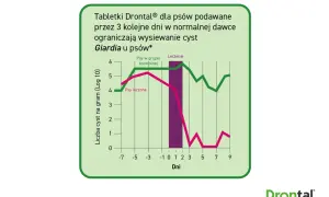 Wykres pokazuje, jak tabletki Drontal ograniczają cysty Giardia u psów. Leczone psy mają znacznie mniej cyst niż grupa kontrolna.
