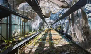 Intérieur d'une serre abandonnée, idéale pour des urbex tours. Le toit déchiré laisse passer la lumière sur les débris et la végétation sauvage.
