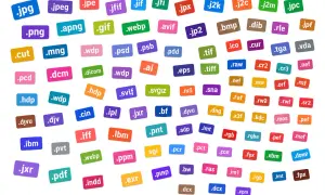 Una carrellata di estensioni di file immagine, da quelle comuni a quelle meno note, alcune delle quali offrono un formato lossless per la massima qualità.