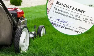 Kosiarka na zielonym trawniku i mandat karny na 190 zł. Czy można kosic trawe w niedziele? To pytanie może kosztować.