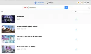Jak pobrać film z Netflixa na pendrive bez łamania zasad?