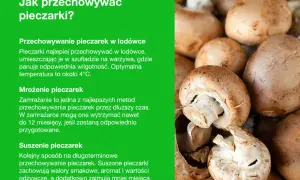 Świeże pieczarki i wskazówki, jak przechowywać pieczarki w lodówce, mrozić lub suszyć, by zachować ich smak i wartości.
