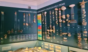 Co znajduje się w muzeum historycznym? Odkryj fascynujące eksponaty