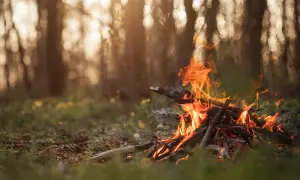 Ognisko w lesie: zasady, kary i legalne miejsca. Sprawdź!