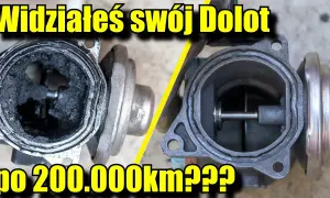 Przepustnica w dieslu: nie dla mocy, a dla czego?