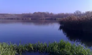 Spokojne jezioro Farskie o tej porze roku, z trzcinami i trawami przy brzegu, odbija błękitne niebo.