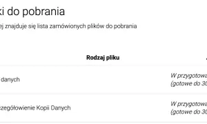 BIK za darmo: Jak uzyskać bezpłatną Kopię danych krok po kroku