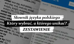 Słownik języka polskiego: online czy papier? Wybierz swój idealny!