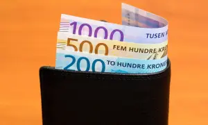Ile zarabia weterynarz w Norwegii? Zaskakujące różnice w wynagrodzeniach