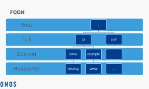 Schéma FQDN : Root, TLD (ca, com), Domain (ionos, example), Hostname (hosting, www).
