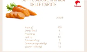 Carote: scopri i valori nutrizionali, dall'acqua all'energia, proteine e carboidrati.