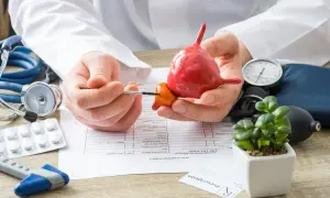 Un médecin montre un modèle de prostate, expliquant les risques liés à une biopsie de prostate. Stéthoscope, tensiomètre et formulaire médical sur la table.