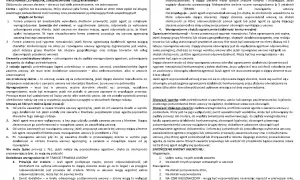 Umowa agencyjna co to? Dokument opisuje zasady współpracy między agentem a dającym zlecenie, w tym wynagrodzenie i obowiązki.