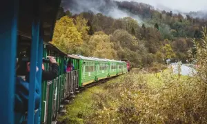 Zielony pociąg turystyczny mija jesienne lasy w drodze do Soliny.
