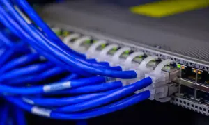 Sieć serwerów z niebieskimi kablami Ethernet. Idealne rozwiązanie dla darmowy hosting bez reklam, zapewniające stabilne połączenie.
