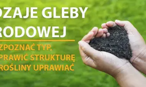 Polska gleba w ogrodzie: Jak ją rozpoznać i uprawiać?