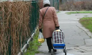 Starsza pani z wózkiem na zakupy i bananami w torbie, idzie ścieżką. Może to być obraz symbolizujący demencję starczą i codzienne zmagania.