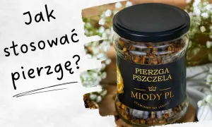 Jak zażywać pierzgę? Dawkowanie, przygotowanie pełna moc!