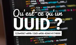 Qu'est-ce qu'un UUID ? Un identifiant unique universel, comme 123e4567-e89b-12d3-a456-426614174000, utilisé en programmation.