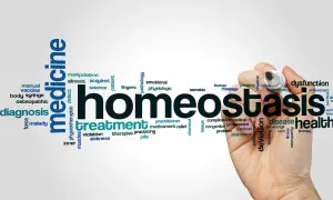Chmura słów związanych z medycyną, z hasłem "homeostaza" na pierwszym planie, podkreślająca znaczenie równowagi w zdrowiu.