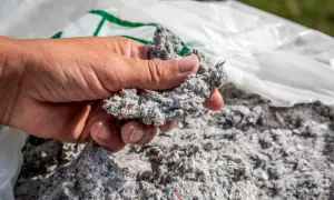 Dłoń trzyma grudkę celulozy, materiału używanego do ocieplenia domu.
