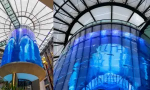 AquaDom oceanarium Berlin - tragiczne wydarzenia i plany na przyszłość